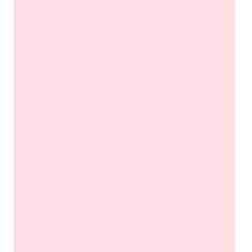 Image of ARK A4 240gsm Colored Card Stock Pack of 10 Sheets (Light Pink)