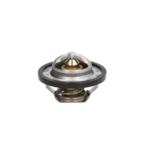 Image of THERMOTEC D2R001TT Thermostat Coolant Coolant Thermostat with Seal 89°C for Opel Vivaro A Box Truck (X83) 4408334 7700872554 91159950