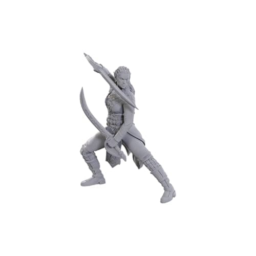Image of WizKids D&D Nolzur's Marvelous Miniatures: Special Edition Baldur's Gate 3 (Jaheira & Halsin)