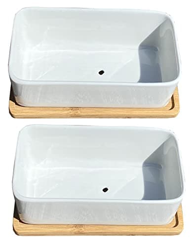 Image of Selections Small White Plant Pot Ceramic Succulent and Cactus Trough Pots - Set of 2