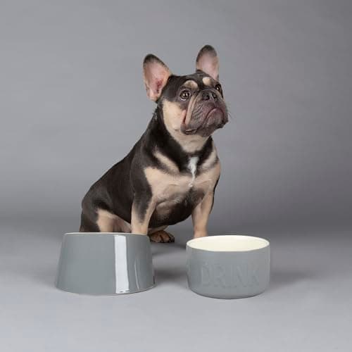 Image of Scruffs Classic 2 Piece Flat Faced Dog Bowl & Water Bowl - 15cm | 18cm - Grey