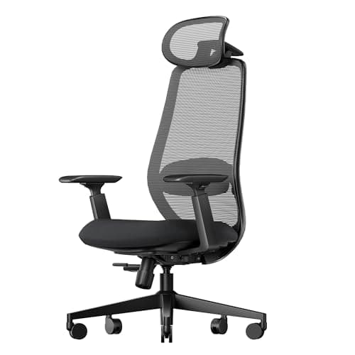 Image of ProtoArc EC200 Ergonomic Office Chair - High Back Computer Desk Chair with 2-Way Adjustable Lumbar Support, Seat Depth & 3D Headrest, Mesh Swivel Desk Chair for Home & Office, Black