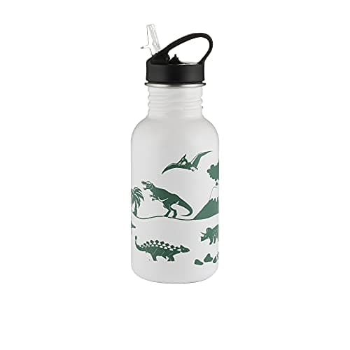 Image of Typhoon Pure 550 ML Reusable Stainless Steel Colour Change Dinosaur Drinks Bottle