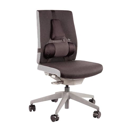 Image of Fellowes Professional Series Ultimate Back Support