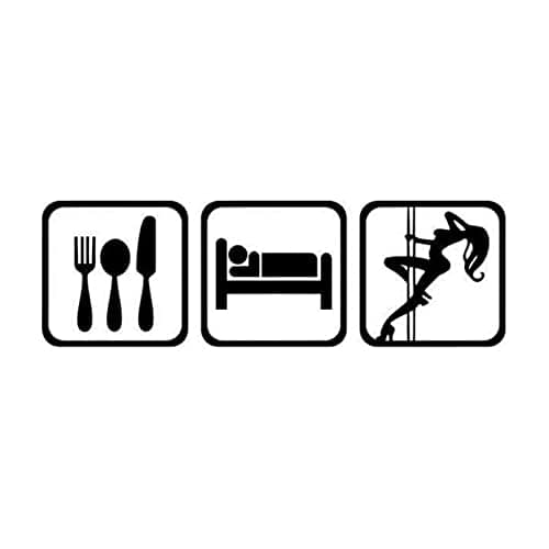 Image of SCSHY Car Sticker 15.2 * 4.7Cm Fun To Eat Sleep Pole Dancing Car Stickers Vinyl Decals Personalized Car Styling Black/Silver