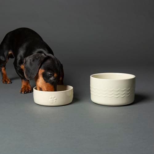 Image of Scruffs Icon 2 Piece Set 13cm Pet Food & Water Bowl Set - Cream