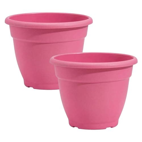 Image of Fyne-Finds Round Plastic Plant Pot 30cm,12inch 9.5Liters Garden Indoor Outdoor Cover Drainage Holes, Weather, Frost Proof Planter (2, Raspberry Pink)