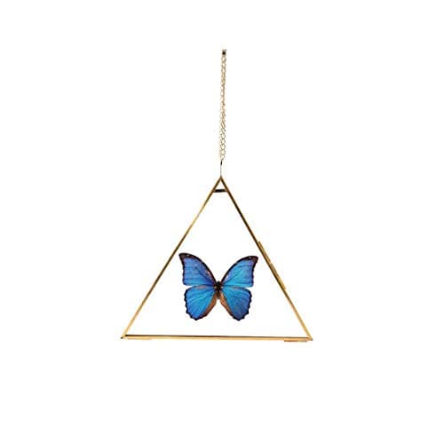 Image of C&Z Hanging Wall Glass Frame for Pressed Flowers Gold Triangle Shaped Double Side Floating Frame for Dried Leaf Plants Herbarium Artwork Specimen Clip Wall Decor with Chain