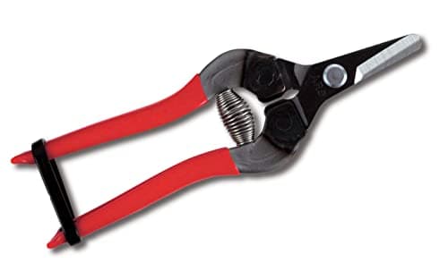 Image of ARS 310-T Straight Blade Fruit Pruner 160mm