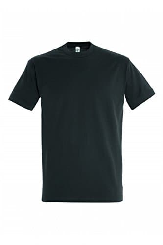 Image of Sol’s Imperial T-Shirt - grey - Large