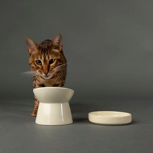 Image of Scruffs Icon Stoneware/Ceramic Raised Cat Feeder Bowl & Saucer Set - Cream