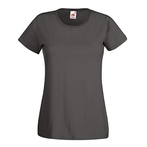 Image of Fruit of the Loom Womens/Ladies Iconic T-Shirt (L) (Light Graphite)