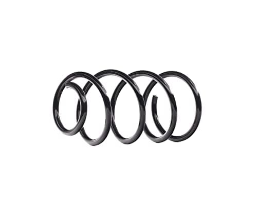 Image of KYB Front Coil Spring RA1103