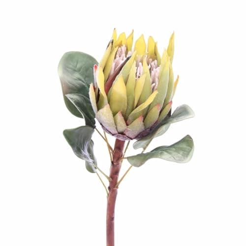 Image of Artificial King Protea Flower Stem, Realistic Green Faux Flower Stem, Giant Luxury Faux Silk Large Giant Green King Protea Stem