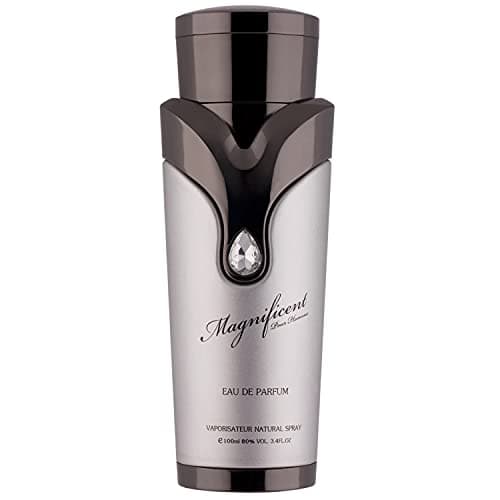 Image of ARMAF Magnificent Pour Homme Eau De Parfum, 100ml