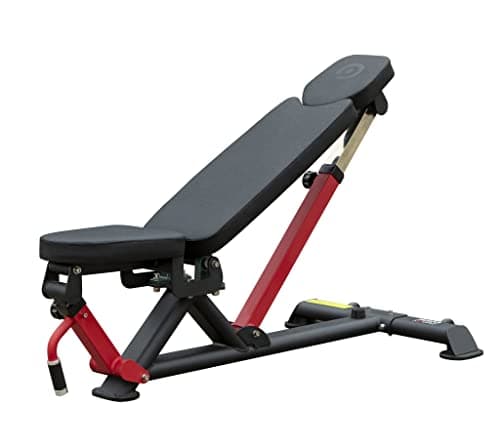 Image of MuscleSquad Phase 3 FID Dumbbell Bench