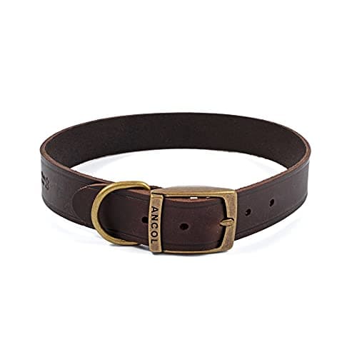 Image of Ancol Latigo Flexible Stretchy Dog Collar Havana Leather Pet Training Accessory with Antique Gold Fixings - Soft and Resilient - Size 6 - 45-54 cm