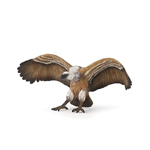 Image of Papo - Realistic Vulture Figure Toy for Kids - Ages 3+ - Birds Of Prey Collection - Educational Play Animal Observation - Gift Idea Toy for Girls and Boys - 13.7 Cm X 4.6 Cm X 6 Cm
