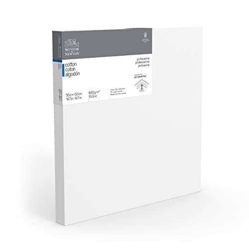 Image of Winsor & Newton 50 x 50 cm Professional Cotton Deep Edge Canvas (Pack of 1)