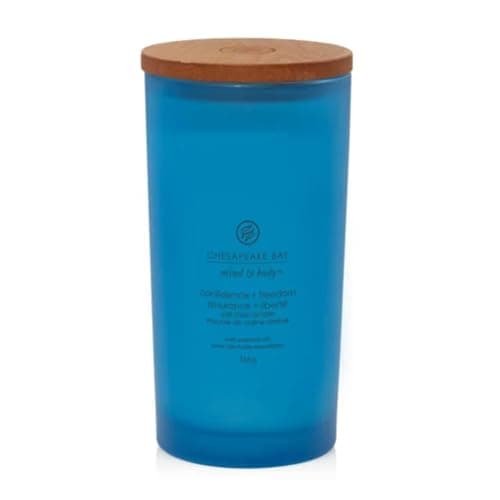 Image of Chesapeake Bay Scented Candle | Confidence & Freedom (Oak Moss Amber) Large Tumbler Aromatherapy Candle | Long Burning Candles: up to 82 Hours | Mind & Body Collection | Gifts for Women