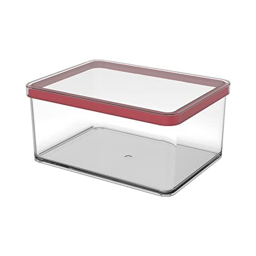 Image of Rotho, Loft, storage box 2.25 l with lid, Plastic (PP) BPA transparent/red, 2,25l (20,0 x 15,0 x 9,6 cm)