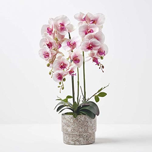 Image of HOMESCAPES Artificial Pink and White Orchid in Pot 64 cm Tall Lifelike Faux Orchid Plant In Grey Cement Pot Real Touch Silk Flowers and Green Leaves Phalaenopsis Orchid Flower for Indoor Decoration