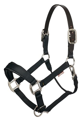 Image of LeMieux Breakaway Halter for Horses & Ponies in Black - Premium Nylon - Easy to Use - Pony