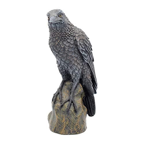 Image of Nemesis Now Ravens Rest Figurine 20cm Black