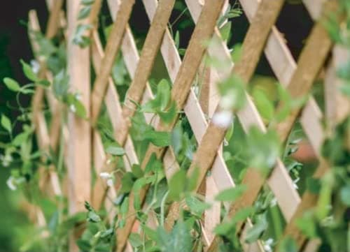 Image of Expanding Wooden Trellis Garden Trellis for Climbing Plants Fence Panel, Ideal for Fence Trellis, Wall or Shed for Patio Garden, 180x90 cm, Natural