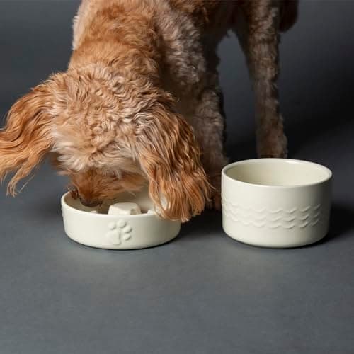 Image of Scruffs Icon Dog/Pet Slow Feeding Bowl Set - 16cm Slow Feeder & 15cm Water Bowl – Cream