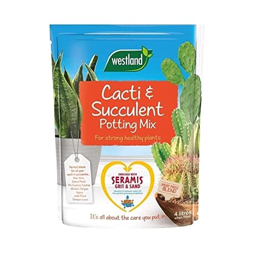 Image of Westland Peat Free Cacti and Succulent Potting Compost Mix 4L