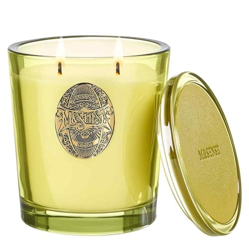 Image of M&SENSE Scented Candles Gifts for Women 560g Seattle Rainforest, 2-Wick Natural Soy Wax Large Candle 110H Long Burning, Aromatherapy Candles Gift for Men, Perfect Halloween Christmas Birthday Gifts