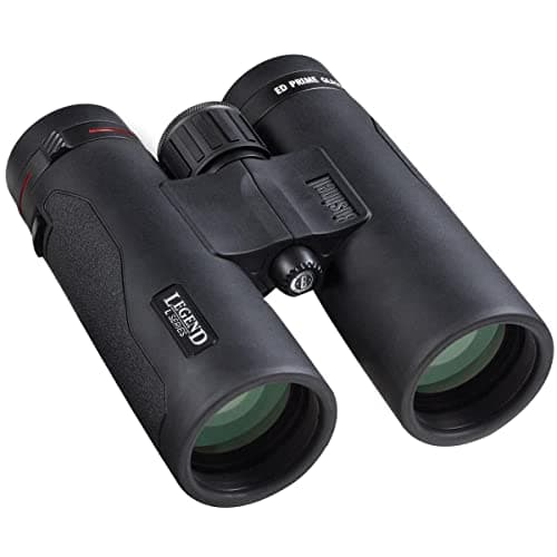 Image of Bushnell - Legend L-Series Binocular - 10x42 - Black - Roof Prism - Rainguard HD - Ultra-Wideband Coating - ED Glass - Multi-coated Lenses - Magnesium - 198104
