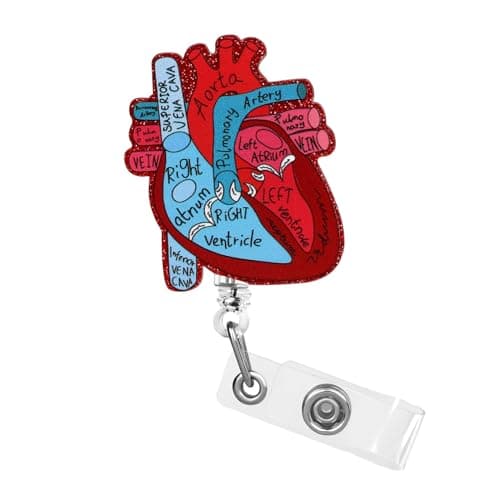 Image of Dimeho Cardiac Badge Holder Heart Retractable Reel ID Card Clip Anatomy Funny Nurse Name Tag Holder Pediatrics Nursing Badge Alligator Clips for Doctor Student Office Medical Assistant