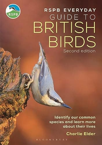 Image of The RSPB Everyday Guide to British Birds: Identify our common species and learn more about their lives