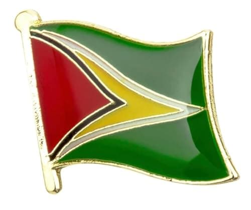Image of Guyana Flag Lapel Pin – 1.9 x 1.6 cm Enamel Badge – Green, Red, Yellow “Golden Arrowhead” Brooch – National Pride Accessory