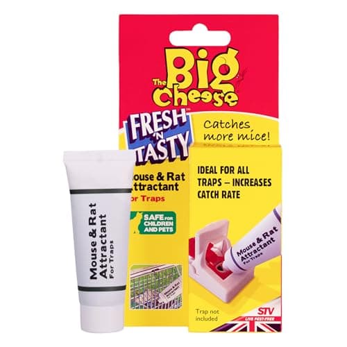 Image of The Big Cheese Mouse and Rat Attractant – 26g, Poison-Free Paste in Squeezy Tube, Use to Re-Bait Traps, Safe-to-Use Around Children and Pets