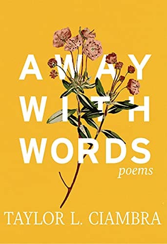Image of Away With Words