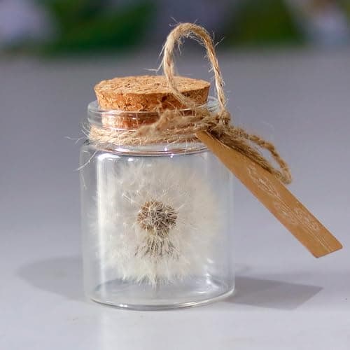 Image of HUATEEN Dandelion Glass Bottle Gift,Dandelion Gift Handmade Spiritual Gifts for Women Gift Mother's Day for Mum Gifts for Kids Best Friend