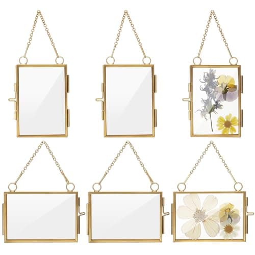 Image of INFUNLY 6Pcs Brass Picture Frame 2x3 Wall Hanging Photo Floating Frame with Chain Double Glass Frame for Pressed Flower Horizontal Vertical Display Frame Kit for Plant Specimen Artwork Home
