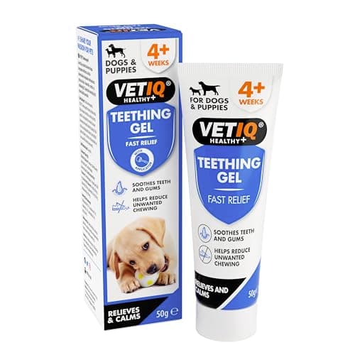Image of VETIQ Fast Pain Relief Teething Gel With Applicator, Relieves Irritation & Helps Reduce Unwanted Chewing For Dogs & Puppies 4+ Week, 50 g (Pack of 1)