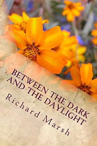 Image of Between the Dark and the Daylight