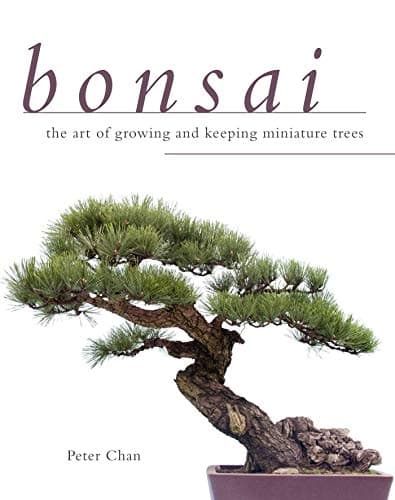 Image of Bonsai: The Art of Growing and Keeping Miniature Trees