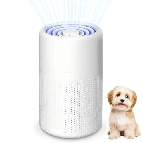 Image of HEPA Air Purifier 5W, USB Powered Portable Air Purifier for Bedroom Office, Energy Saving Mini Air Cleaner Fights Mould Pet Dander Dust, with Aromatherapy Diffuser & Night Light