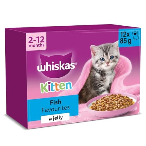 Image of WHISKAS Junior Wet Cat Food in Jelly 12x85g Fish Favourites (Pack of 4)