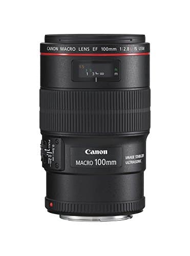 Image of Canon EF 100 2.8L MACRO IS U