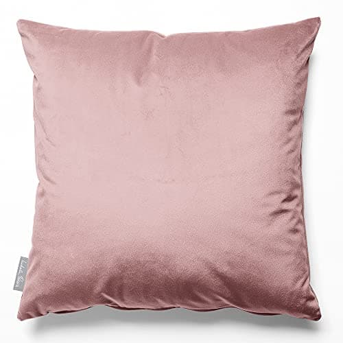Image of Izabela Peters Cushions With Covers Included, Filled Cushion, Eco-Friendly Velvet Cushions, 45 cm, Rosewater, Chair Cushions, Sofa Cushions, Seat Cushions, Large Cushions