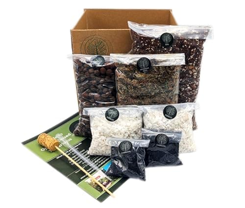 Image of DIY Large Open and Closed Terrarium Kit (White Pebbles)