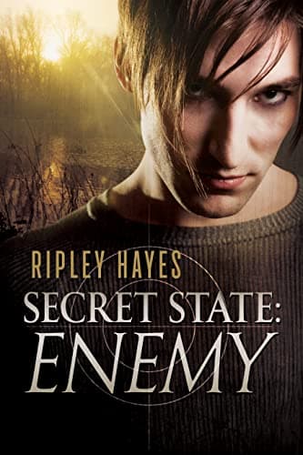 Image of Secret State: Enemy: MM Suspense