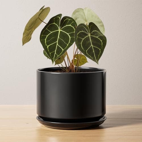 Image of LE TAUCI Ceramic Pots for Plants,17 cm Plant Pot with Drainage Hole & Saucer, Modern Minimalist Planters for Indoor Plants, Round Flower Pot for Snake Plant, Monstera, Perfect for Home Decor, Black